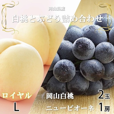 岡山県産 岡山白桃ロイヤルLサイズ200g×2玉・ニューピオーネ400g×1房 詰合せ【配送不可地域：離島・北海道・沖縄県】【1472043】