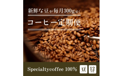 ＜毎月定期便＞毎月違うコーヒー豆をお届け スペシャルティコーヒー 豆 300g全12回【4075723】