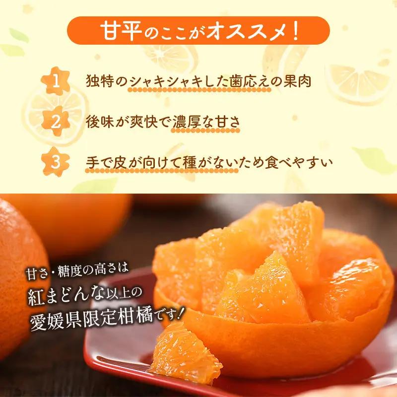 【先行予約】ホリ田ヤ 甘平 2.5キロ 【2027年2月中旬より順次発送】