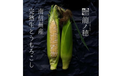 ＜2025年分先行受付＞南信州産 完熟生とうもろこし 約3kg(6本～8本) | とうもろこし トウモロコシ 野菜 ジューシー 農家直送 栄養 健康 生食 茹で 焼き おやつ おつまみ 長野県 飯田市 信州