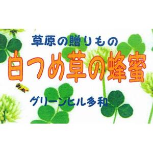 標茶産しろつめ草の蜂蜜 300g×2本）　|  蜂蜜