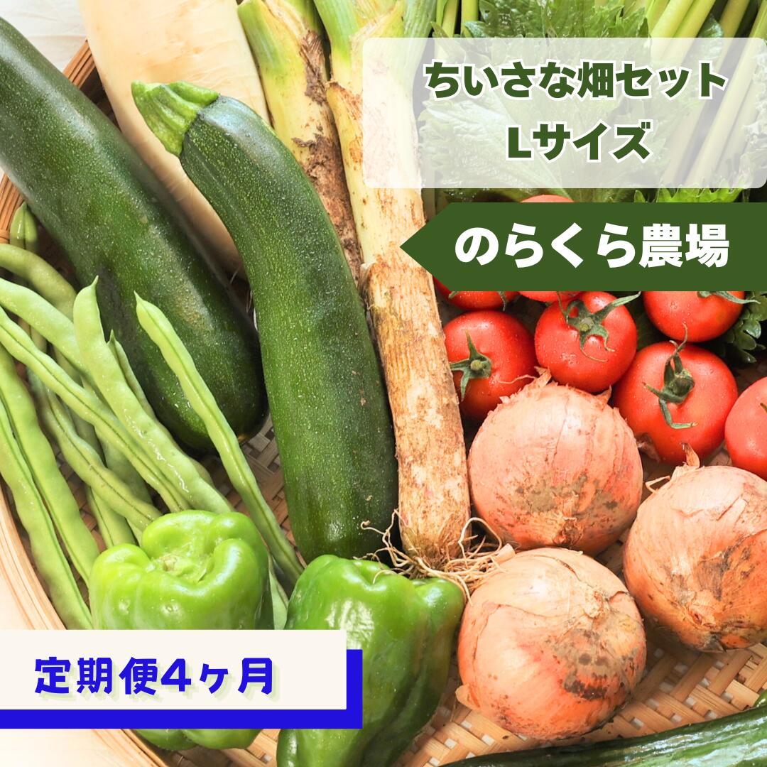 【ふるさと納税】≪先行受付≫定期便4カ月　ちいさな畑セット（Lサイズ　3～4人前）（NK-T507）