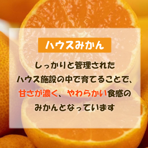 【順次発送中】訳あり ハウスみかん 約1.5kg | みかん【VEG047】