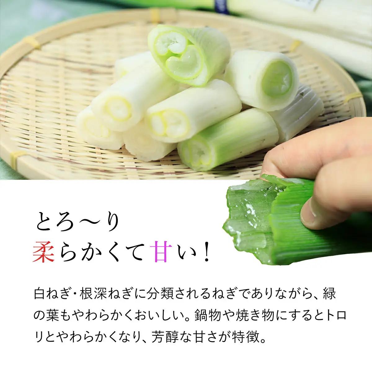 岩津ねぎラー油【10個セット】道の駅人気No1 食べるラー油 ネギ