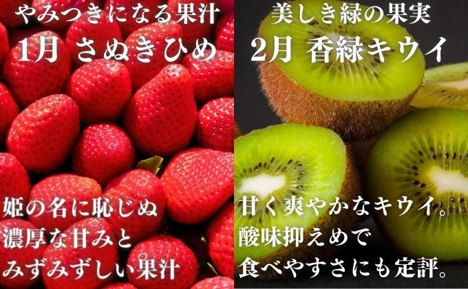 【旬の果実便り】 丸亀フルーツ定期便 全12ヶ月 果物 フルーツ 定期便 いちご キウイ はっさく もも デコポン びわ 桃 シャインマスカット みかん セット お楽しみ 香川県 丸亀市
