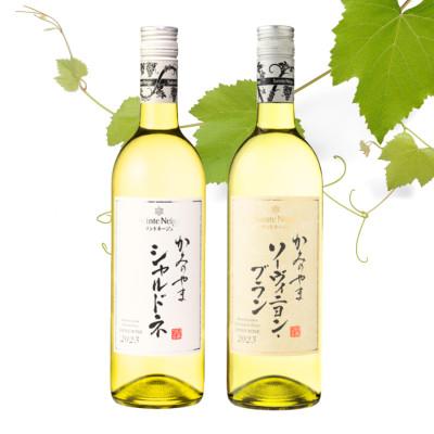 ふるさと納税 山梨市 サントネージュワインが贈るシャルドネ/ソーヴィニヨンブラン白 計2本セット