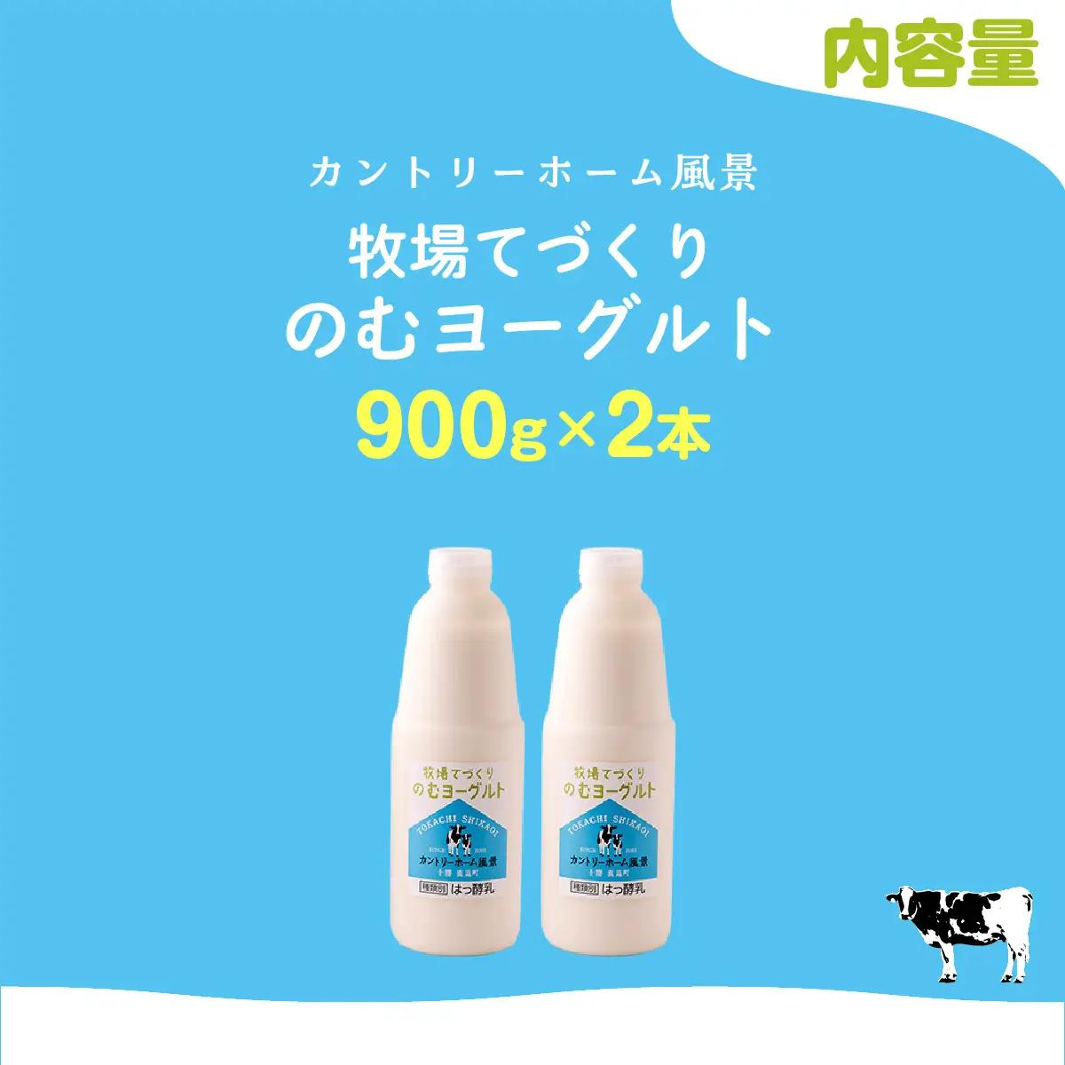 のむヨーグルト 900g ×2 SKB031