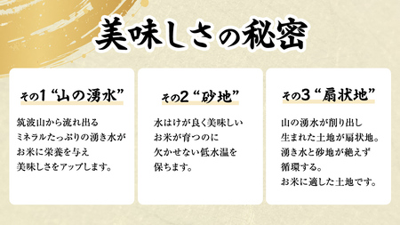 《全3回 定期便》《 令和7年産 先行予約 》 コシヒカリ 「幻の米 羽鳥米」 計 9kg (3kg × 3回) 筑波北麓秘蔵米 お米 ごはん 精米 コメ 白米 国産 茨城県 桜川市 限定 期間限定 