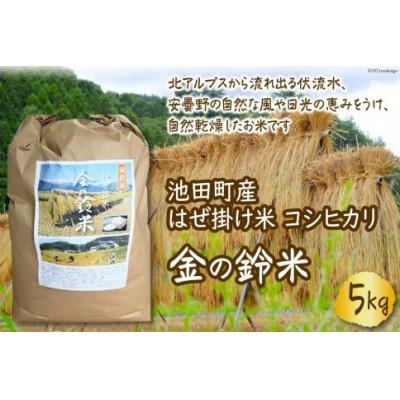 ふるさと納税 池田町 池田町産 はぜ掛け米 コシヒカリ　金の鈴米5kg