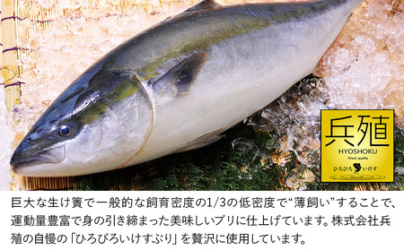 ぶり ひろびろいけす ぶり丼セット 120g×5 | 津久見市