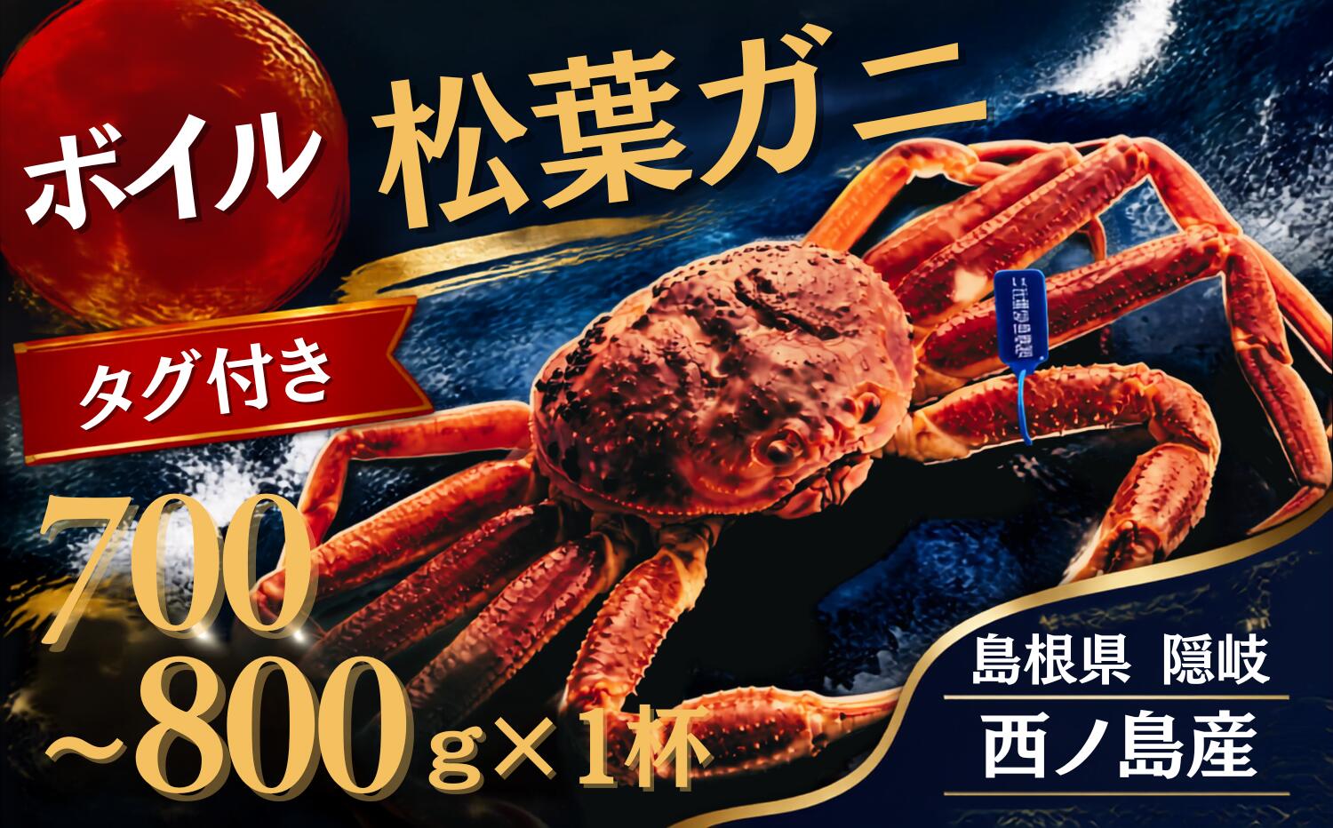 【先行販売】【ふるさと納税】松葉ガニ〈ボイル〉松葉ガニ マツバガニ タグ付き＜11月中旬～2月中旬頃発送予定＞700g～800g 1杯