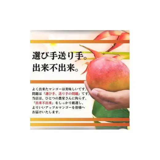 ＜予約受付＞完熟アップルマンゴー 3~6個 約2kg 