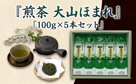 「煎茶　大山ほまれ」100g×5本セット