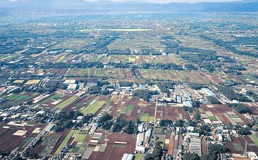 伝統的な「落ち葉堆肥農法」で育てた野菜セット ５kg程度（年に一度12月16日頃発送）冬野菜 やさい ベジタブル おまかせ 落葉 FAA-028