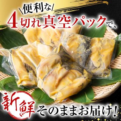 ふるさと納税 根室市 銀だら粕漬け4切(1切約110g)×4P B-11117 |  | 02