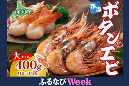 【ふるなびWEEK対象】北海道 噴火湾産 冷凍ボタンエビ 大サイズ 400g 10～14尾 ボタンエビ エビ えび 海老 北海道産 旬 ぼたんえび 刺身 牡丹海老 海鮮 魚介 甲殻類 味噌汁 鍋 海鮮丼 冷凍 洞爺湖町 FN-Limited-PR