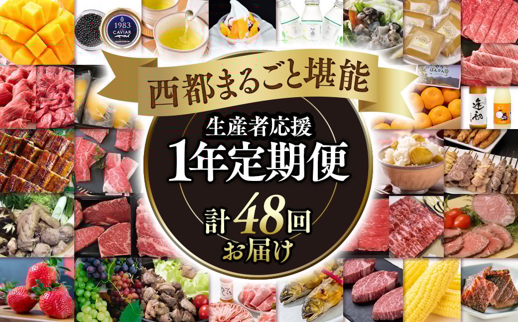 
            【季節の定期便】12ヶ月毎月届く 西都まるごと堪能セット 48品お届け！【プレミアムコース】 宮崎牛 うなぎ 牛肉 豚肉 鶏肉 すき焼き 鍋等＜100-3＞
          