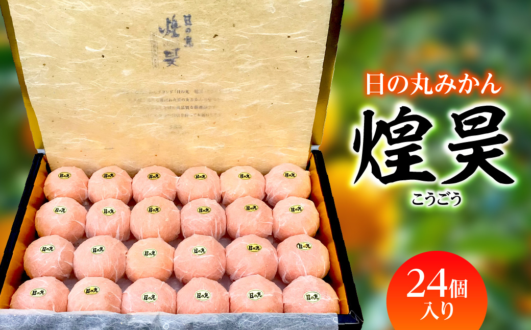 【先行受付】日の丸みかん「煌昊(こうごう)」24個入/個包装/手詰め/高糖度/光センサー使用【G79-1】【1451576】 YWTC001