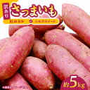 【ふるさと納税】さつまいも 紅はるか or シルクスイート 蜜芋 5kg【合同会社 福福堂】[ZCN013]