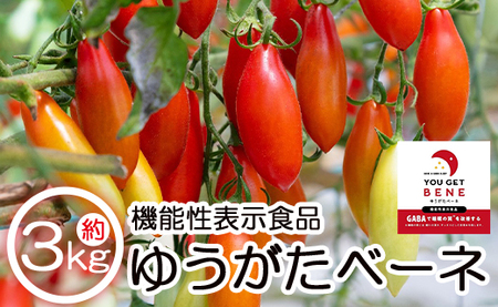 【12月から順次配送】機能性表示食品 ミニトマト ゆうがたベーネ 3kg トマト is-0015