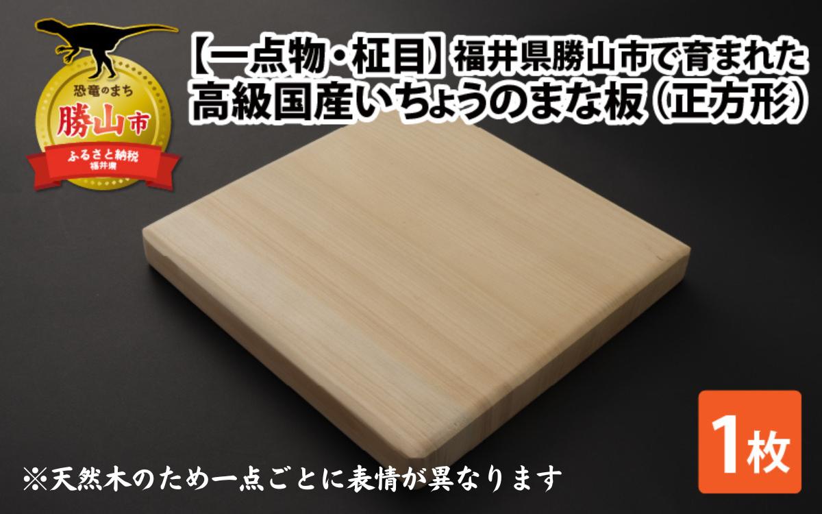 
【一点物・柾目】恐竜王国福井県勝山市の風土に育まれた 日本製高級国産いちょうのまな板(正方形) [B-026007]

