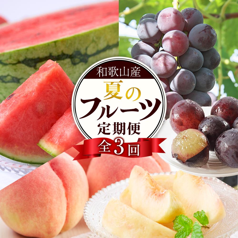 【ふるさと納税】定期便全3回　和歌山の人気の夏のフルーツをお届け！