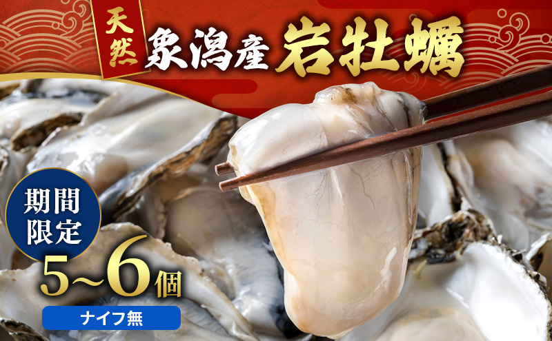 象潟産 天然岩牡蠣 5～6個 ナイフ無【牡蠣 夏牡蠣 かき 象潟 生食可 魚介類 海鮮 海産物 海の幸】　みずしまや
