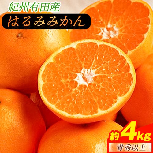 【ふるさと納税】【厳選・濃厚】紀州有田産のはるみ約4kg(サイズおまかせ)《2026年1月下旬-2月中旬頃出荷予定》和歌山県 日高町 みかん はるみ 厳選 柑橘 フルーツ 送料無料