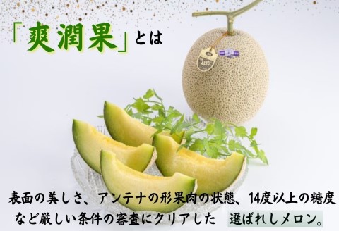 松浦アールスメロン「爽潤果(そうじゅんか)」2玉( メロン アールスメロン ブランド 人気 甘い 美味しい おいしい ギフト 期間限定 糖度14度以上 濃厚 芳醇 松浦 松浦市 長崎 長崎県 )【B5