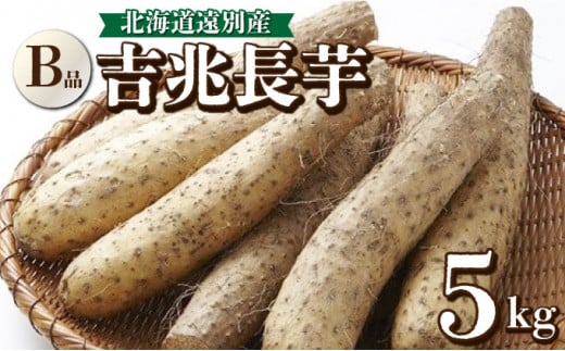 数量限定！遠別産 吉兆長芋（B品5kg)