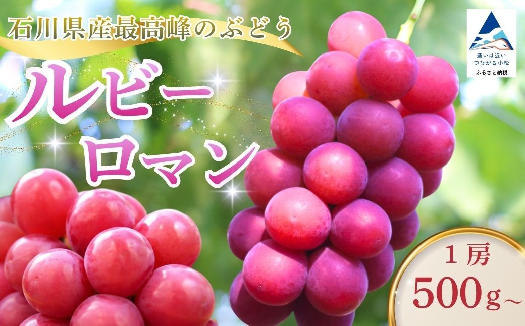 
                  【2026年 先行予約】ルビーロマン ぶどう 葡萄 大粒 1房 500g 以上 贈答品 | 石川県 小松市 【堀他】
                