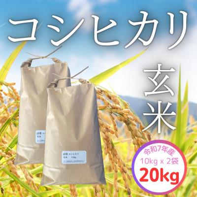 ふるさと納税 飯豊町 【令和7年産】飯豊町産　コシヒカリ玄米20kg