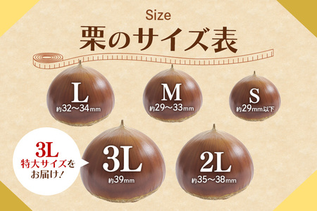 アカツファーム の ぽろたん（ 生栗 ） 特大 3Lサイズ 1kg GA-013