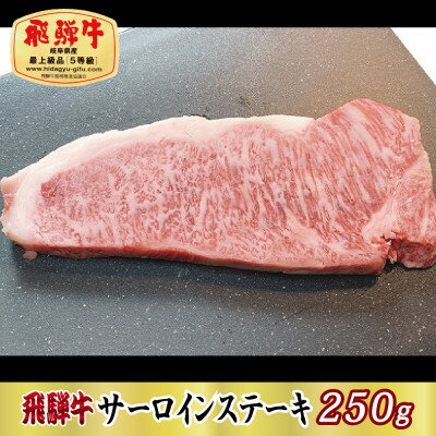 【ふるさと納税】【最高級A5等級】飛騨牛サーロインステーキ250g(牛脂・ステーキソース付き)【配送不可地域：離島】【1488926】