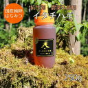 【ふるさと納税】はちみつ　イタチハギの花250g（ご家庭用）