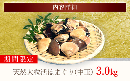 【千葉県ブランド認定】天然大粒活はまぐり（中玉）《3㎏》ギフトBOX付き／ふるさと納税 はまぐり ハマグリ 蛤 貝類 魚介 海鮮 お吸い物 パスタ パエリア お歳暮 贈答 お祝い 千葉県 山武市 SM