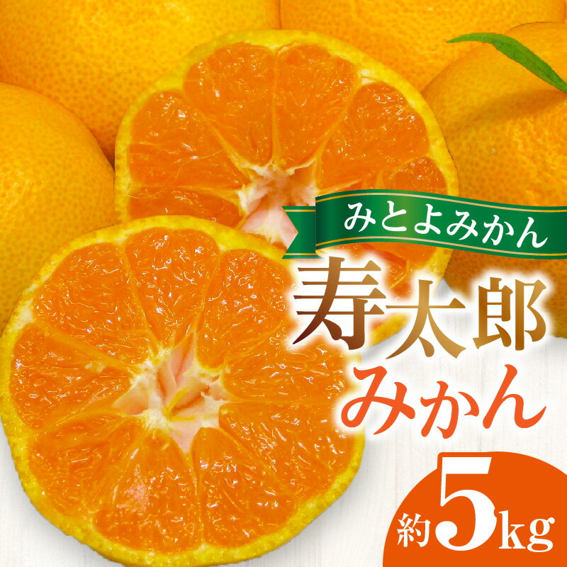 【ふるさと納税】 フルーツ みかん 寿太郎 みかん 約 5kg 先行予約 濃厚な甘味と爽やかな酸味が特徴 [ 果物 柑橘 ジューシー 甘い 旬 新鮮 直送 産地直送 予約販売 人気 ギフト お歳暮 贈答用 家庭用 10,000円 台 送料無料 香川県 三豊市 返礼品 五色青果 ]