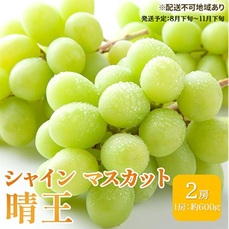 【ふるさと納税】ぶどう 2026年 先行予約 シャイン マスカット 晴王 約600g×2房 ブドウ 葡萄 岡山県産 国産 フルーツ 果物 ギフト 果物類　お届け：2026年8月下旬～2026年11月下旬