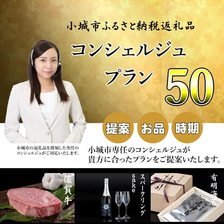 コンシェルジュプラン50（プレミアム 高額 相談 担当者付き）  H050-002