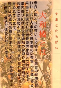 まほろばぽん酢6本セット / 四季の味 花里 自家製 ポン酢 やまとたちばな 奈良県 田原本町