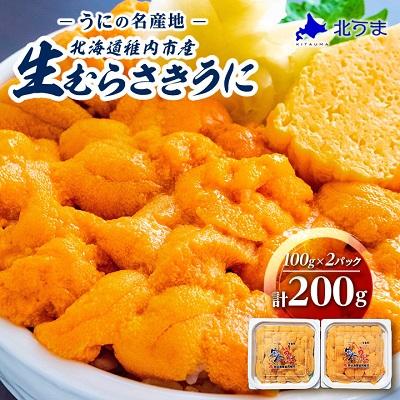 ふるさと納税 稚内市 令和8年発送 先行受付【うにの名産地稚内市】最北端の生むらさきうに(100g×2パック)