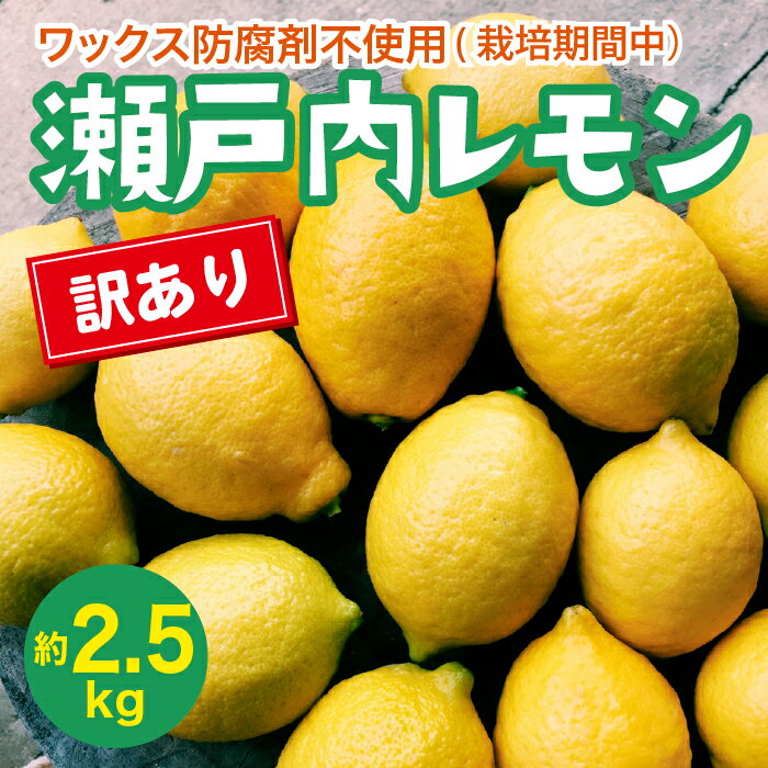 【ふるさと納税】瀬戸内 訳ありレモン 約2.5kg【栽培期間中防腐剤ワックス不使用】 【先行予約】 【2025年12月以降発送】レモン 国産 佐木島 三原 広島 フルーツ 果物 柑橘 柑橘類 檸檬 訳あり 017059
