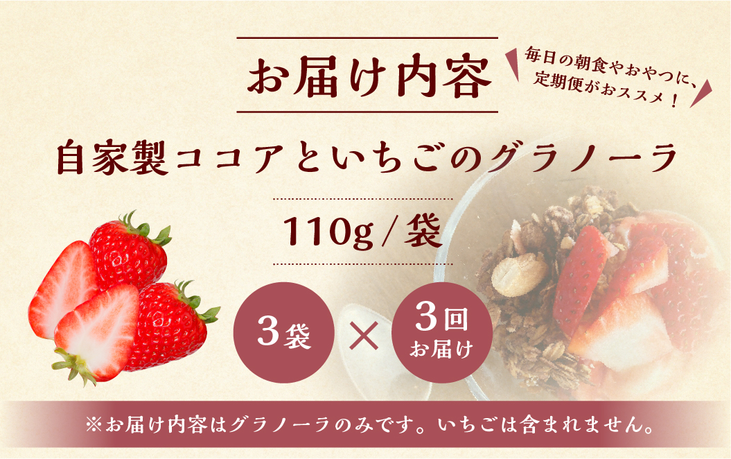 【3回定期便】いちごとココアのグラノーラ3袋 family農園watanabe ココア いちご 紅ほっぺ シリアル 朝食 ギフト ｜フルーツ スイーツ 苺 牛乳 デザート おやつ イチゴ 子ども 大人
