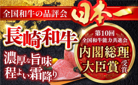 【全6回定期便】 長崎和牛 ステーキざんまいコース 総計2.5kg / モモ リブロース イチボ サーロイン ランプ ヒレ / 肉 牛肉 ステーキ 焼肉 / 波佐見町 / 野中精肉店[VF81]