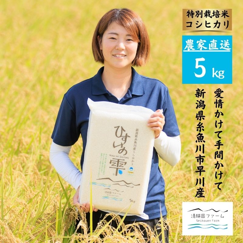 【ふるさと納税】米 『ひすいの雫』 【令和7年産】 新潟県産 コシヒカリ 特別栽培米 5kg ×1袋 農家直送 真空パック 清流早川が育てた うまい米 糸魚川 清耕園ファーム 新潟県産コシヒカリ5kg 美味しい 農家自慢 お米 白米 おにぎり お弁当