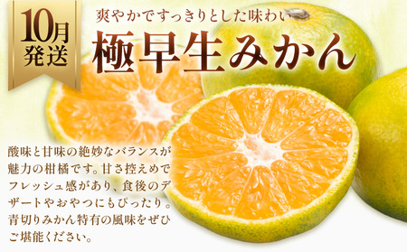旬の フルーツ 定期便 2ヶ月連続 秀品 計10kg 日本フルーツ株式会社《2026年9月上旬-10月末頃出荷》熊本県 長洲町 おまかせ 梨 極早生みかん 果物 フルーツ スイーツ デザート ギフト 