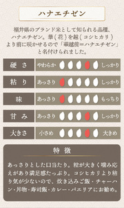 【定期便3回】福井県産 ハナエチゼン 無洗米 3kg（1kg×3）＜令和7年産 新米 数量限定 ＞【米 コメ お米 精米 白米 無洗米 玄米 ご飯 飯 華越前 ブランド米 国産】[095-t3-a31