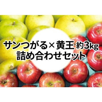 【26年8月下旬より順次発送】糖度13度以上保証! 黄王×サンつがる 約3kg 訳あり  クール便【配送不可地域：離島・沖縄県】