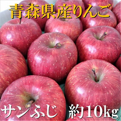【ふるさと納税】サンふじ　約10kg【津軽みらい農業協同組合の青森県産りんご】【1063271】