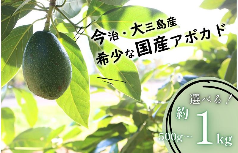 
                  【先行受付】希少な国産　大三島アボカド　選べる容量＜約500g/約1kg＞【LB01340・LC01290】ご当地 今治 いまばり 国産 愛媛産 愛媛県 えひめ 森のバター 本場 珍しい 希少 国産 限定数 数量限定 お取り寄せ 人気 贈答用 家庭用
                
